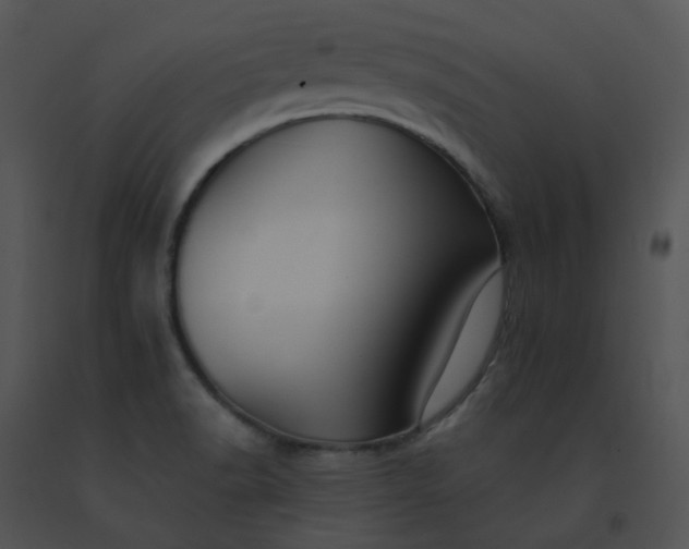 X0000091541518200708311321
