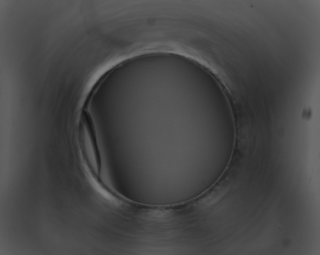 X0000091541519200708311321