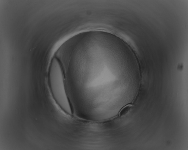 X0000091541520200708311321