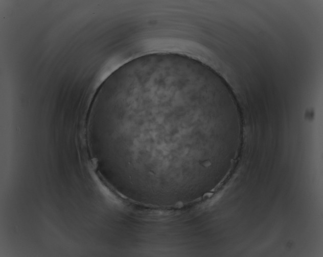 X0000091541521200708311321