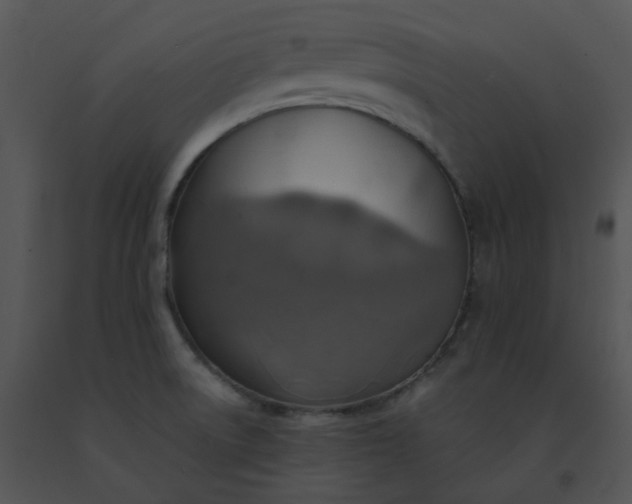 X0000091541522200708311321
