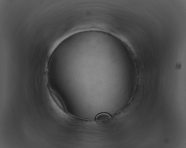 X0000091541524200708311321