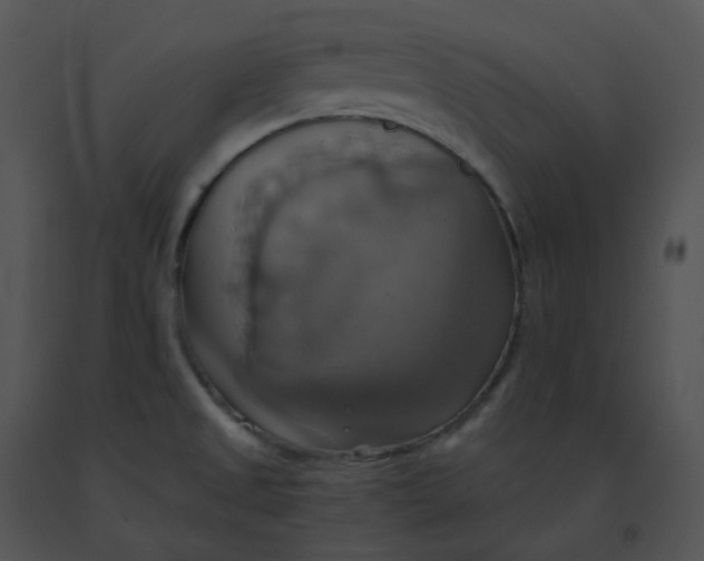 X0000091541525200708311321