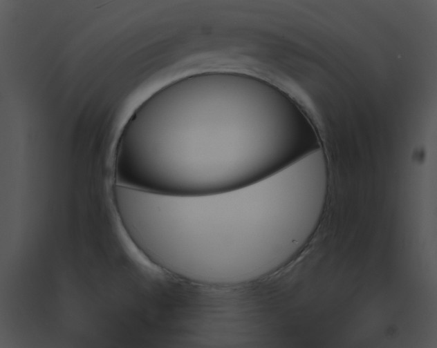X0000091541528200708311321