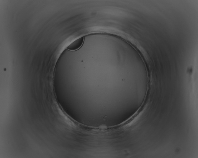 X0000091541529200708311321