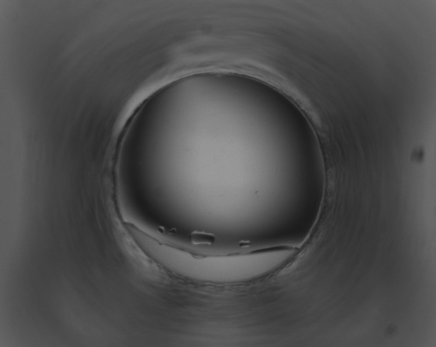 X0000091541530200708311321