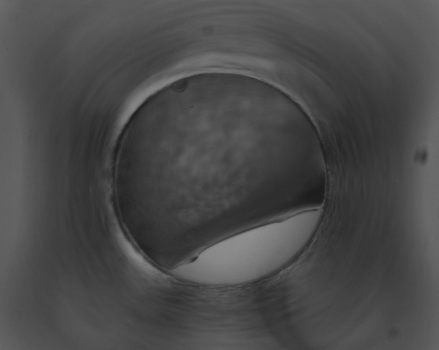 X0000091541531200708311321