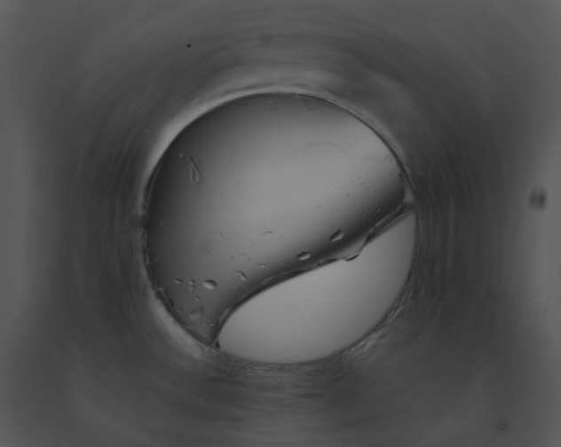 X0000091541532200708311321