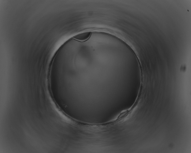 X0000091541533200708311321