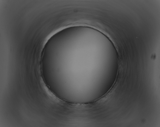 X0000091541534200708311321