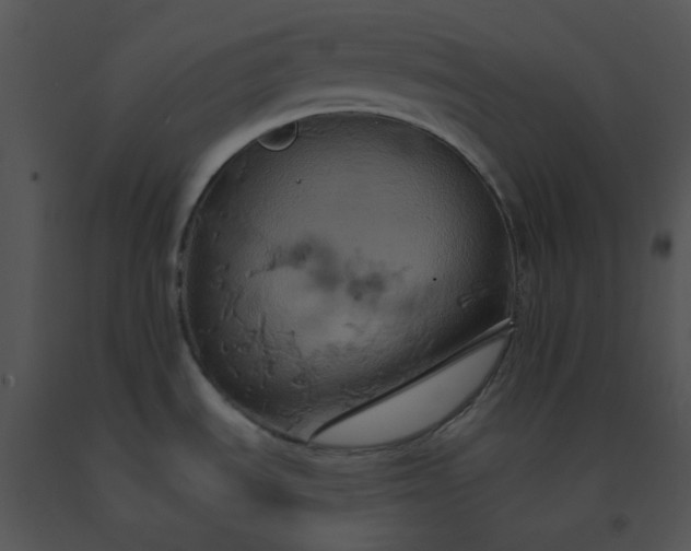X0000091541535200708311321