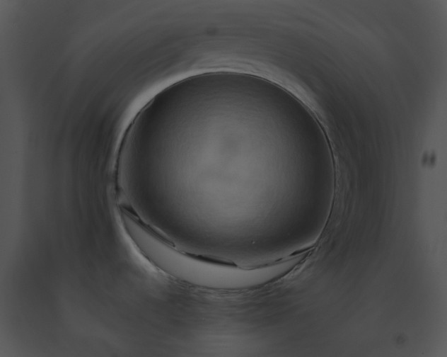 X0000091541536200708311321