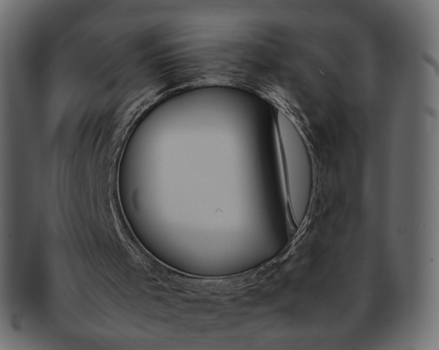 X0000091540001200709071115