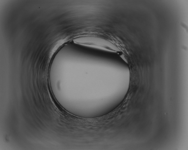 X0000091540003200709071115