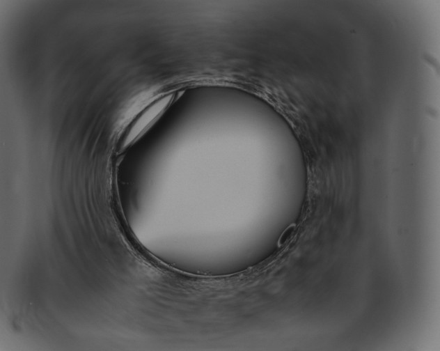 X0000091540005200709071115