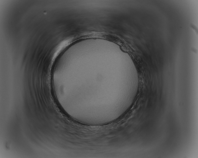 X0000091540006200709071115