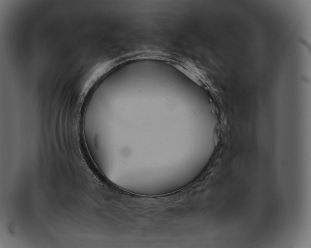 X0000091540007200709071115