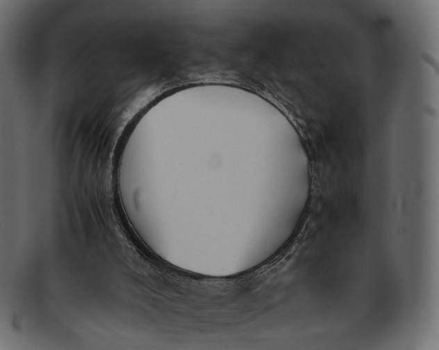 X0000091540008200709071115