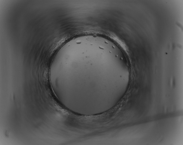 X0000091540009200709071115