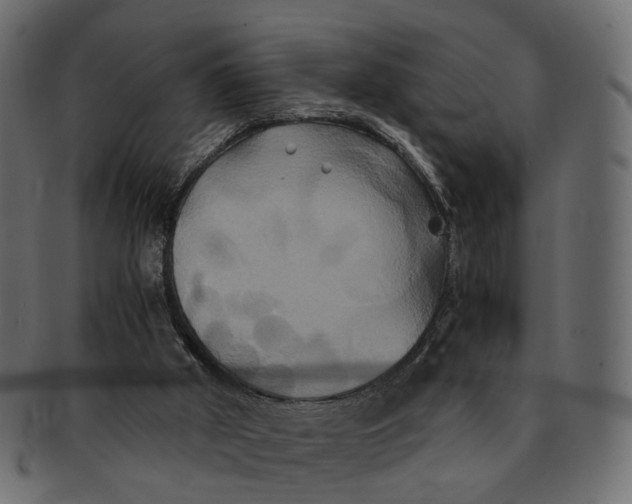 X0000091540010200709071114