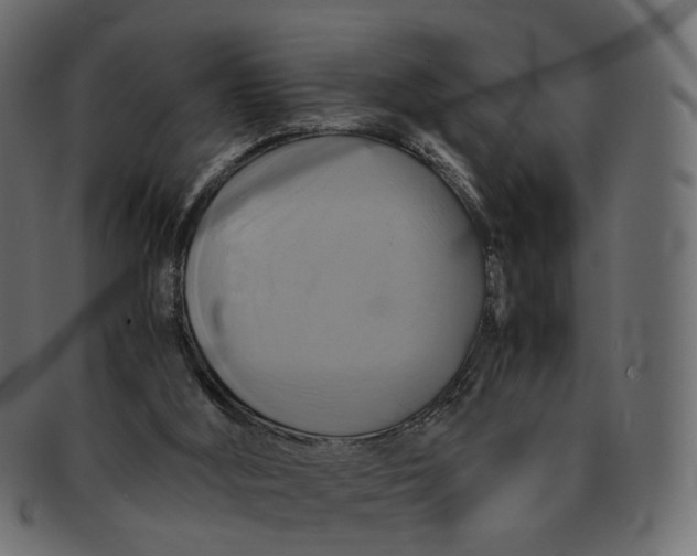 X0000091540012200709071114