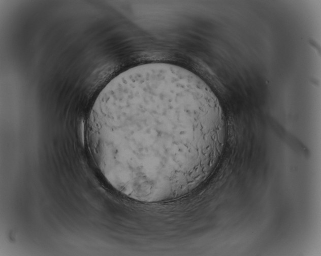 X0000091540014200709071114