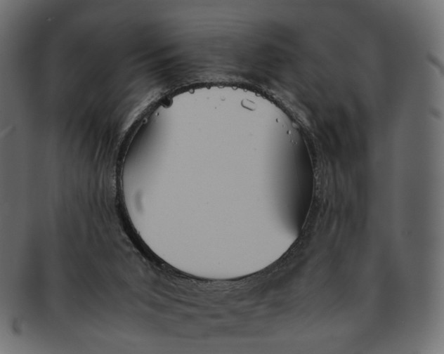 X0000091540015200709071114