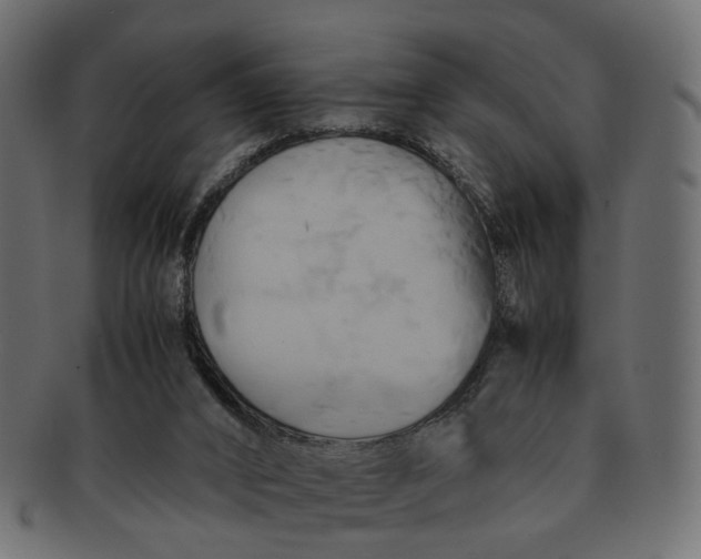 X0000091540016200709071114