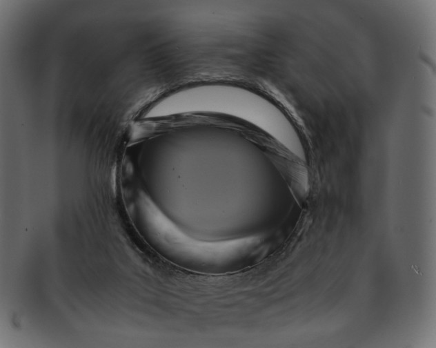 X0000091540019200709071114