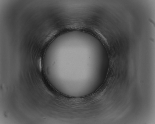 X0000091540020200709071114