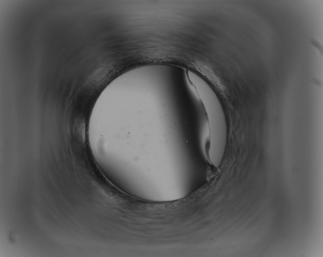 X0000091540021200709071114