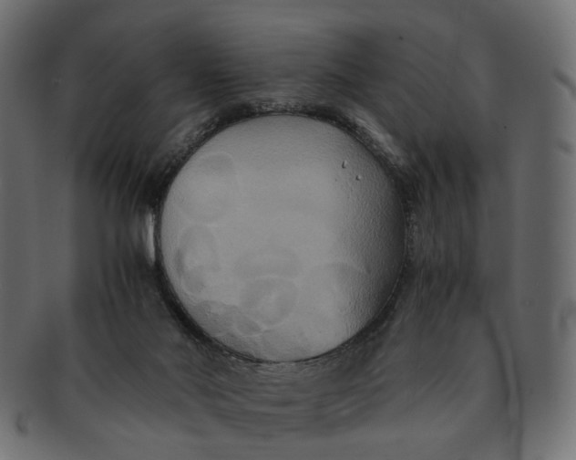 X0000091540022200709071114