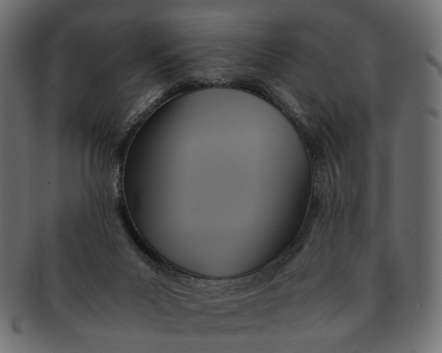 X0000091540023200709071114