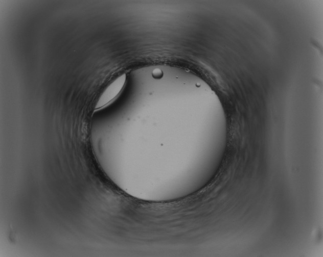 X0000091540025200709071114