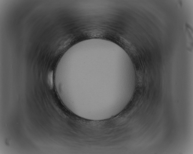 X0000091540028200709071114