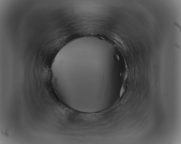 X0000091540029200709071114