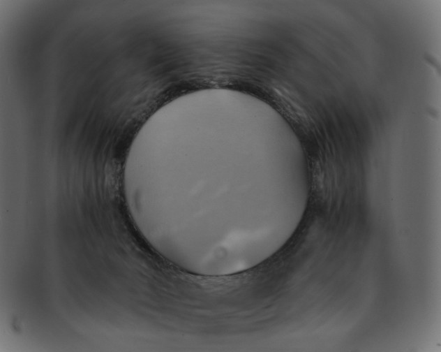 X0000091540030200709071114