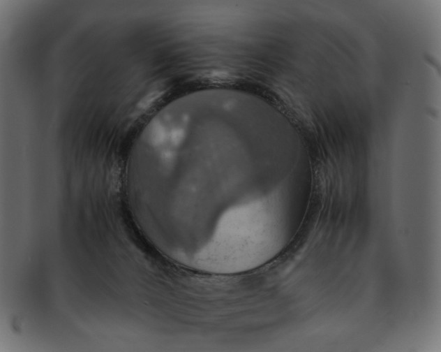 X0000091540032200709071114