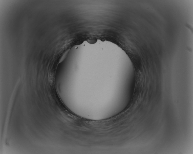 X0000091540033200709071114