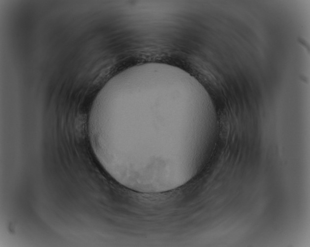 X0000091540034200709071114