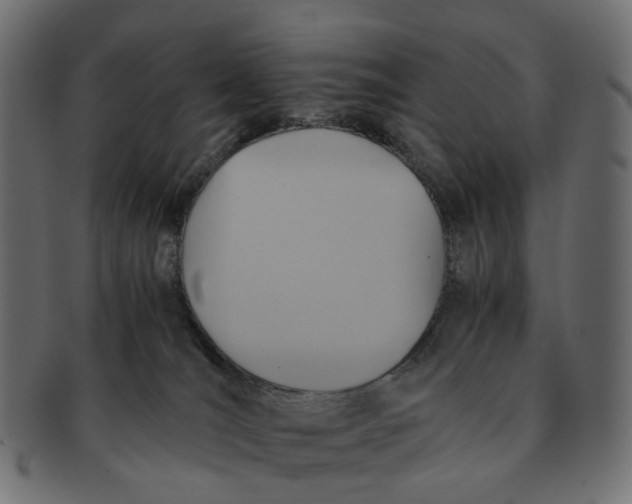 X0000091540036200709071114