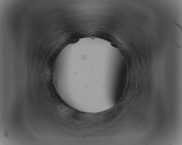 X0000091540037200709071114