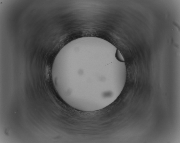 X0000091540038200709071114