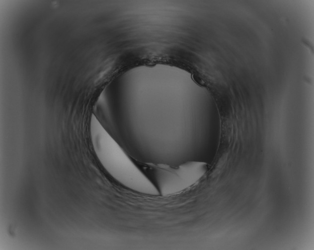 X0000091540039200709071114