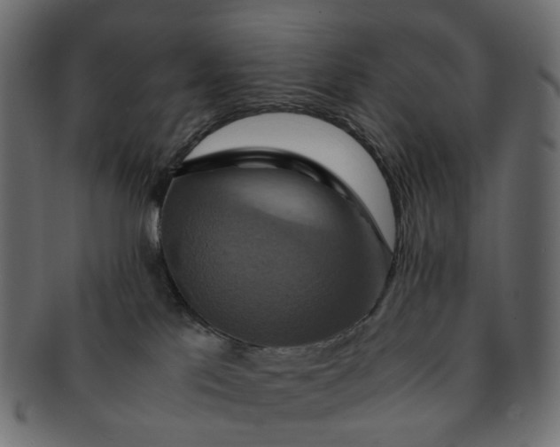 X0000091540041200709071114