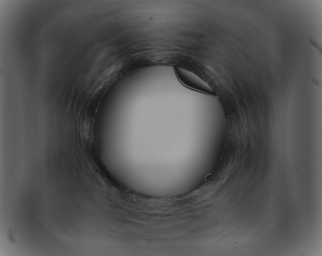 X0000091540044200709071114