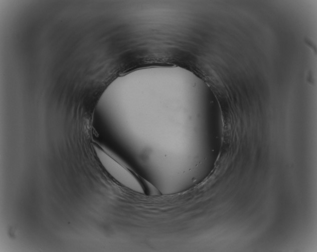 X0000091540045200709071114