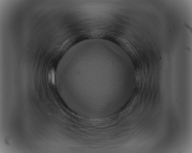 X0000091540046200709071114