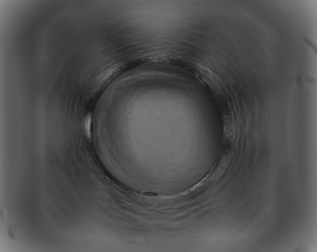 X0000091540047200709071114