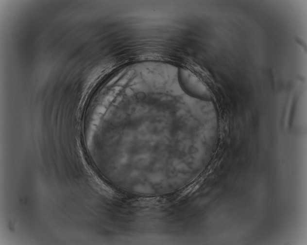 X0000091540049200709071113